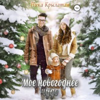 Ника Крылатая. Мое новогоднее чудо