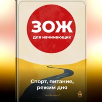 . ЗОЖ для начинающих: Спорт, питание, режим дня
