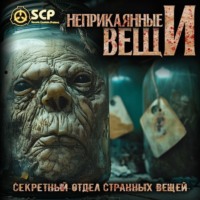 Константин Волкичевский. Неприкаянные вещи