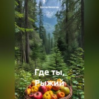. Где ты, Рыжий