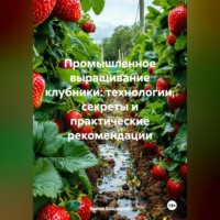 Война Владимир. «Промышленное выращивание клубники: технологии, секреты и практические рекомендации»