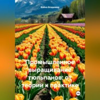 Война Владимир. Промышленное выращивание тюльпанов: от теории к практике.
