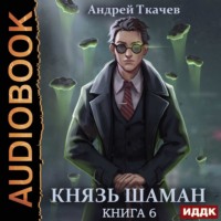Андрей Ткачев. Князь шаман. Книга 6