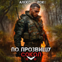 . По прозвищу «Сокол». Том 1