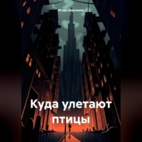 . Куда улетают птицы