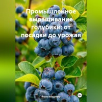 . «Промышленное выращивание голубики: от посадки до урожая»
