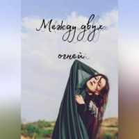 . Между двух огней