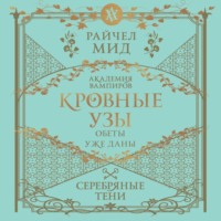 Райчел Мид. Серебряные тени