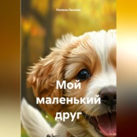 Полина Ласкова. Мой маленький друг