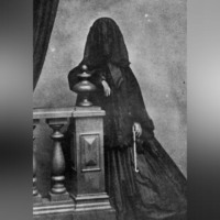 . Аппарат Ноэля Бакстера. Глава II. Дама со снятой головой.