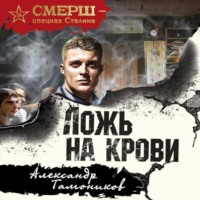 Александр Тамоников. Ложь на крови