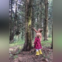 . Разочарованный лес