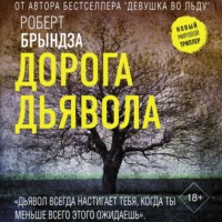 Роберт Брындза. Дорога дьявола