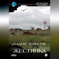 Вадим Денисов. Жестянка