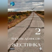 Вадим Денисов. Жестянка-2