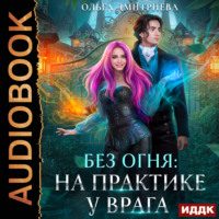 Ольга Дмитриева. На практике у врага