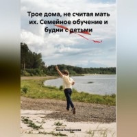 . Трое дома, не считая мать их. Семейное обучение и будни с детьми