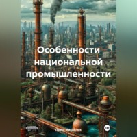 . Особенности национальной промышленности