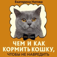 . Чем и как кормить кошку, чтобы не навредить