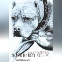 . Жизнь Пит мена