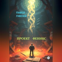 Павел Борисович Гнесюк. Проект Феникс