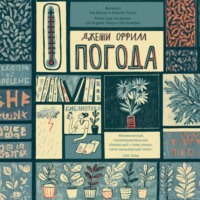 . Погода