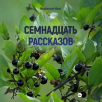 . Семнадцать рассказов