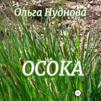 Ольга Нуднова. Осока