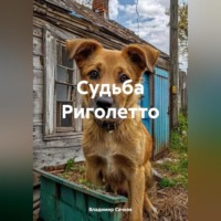 Владимир Александрович Сачков. Судьба Риголетто