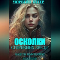 . Осколки сгоревших звёзд. Книга 1. Кадеты Нефритовой Академии