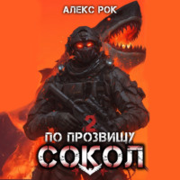 . По прозвищу «Сокол». Том 2