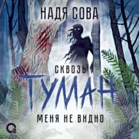 Надя Сова. Сквозь туман меня не видно