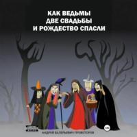 Андрей Валерьевич Провоторов. Как ведьмы 2 свадьбы и Рождество спасли