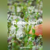 Евгений Полярский. Диктофон