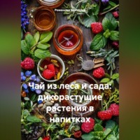 Романова Виктория. Чай из леса и сада: дикорастущие растения в напитках
