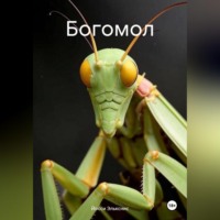 . Богомол