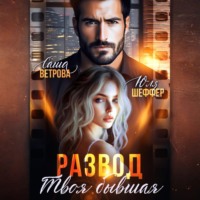 . Развод. Твоя бывшая