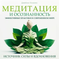 Джейми Уилкинс. Медитация и осознанность