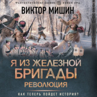 . Я из Железной бригады. Революция