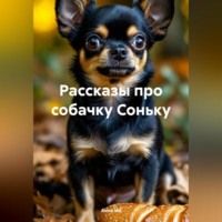 . Рассказы про собачку Соньку