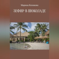 . Зефир в шоколаде