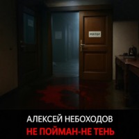 . Не пойман – не тень