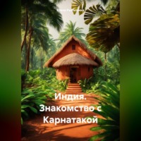 . Индия. Знакомство с Карнатакой