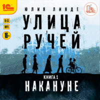 . Улица Ручей. Книга 1. Накануне