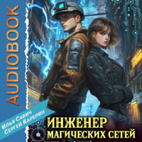 . Инженер магических сетей