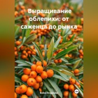 . Промышленное выращивание облепихи: от саженца до рынка