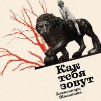 . Как тебя зовут
