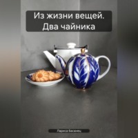 Лариса Басанец. Из жизни вещей. Два чайника