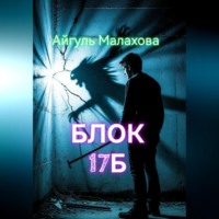 Айгуль Малахова. Блок «Семнадцать Б»