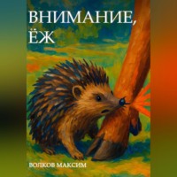 . Внимание, Ёж